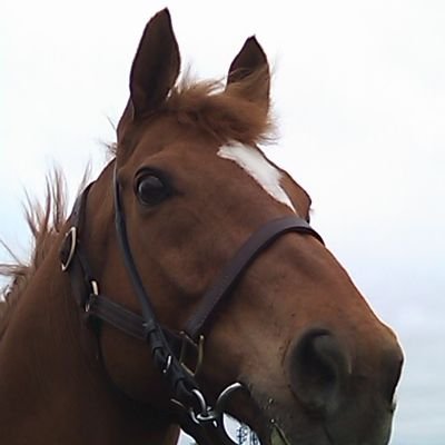 URPさんのプロフィール画像