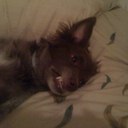 John Robitaille - @libertymech2010 - Twitter