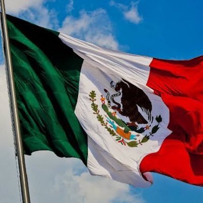 Amo Profundamente a México, me preocupa su futuro, es nuestra obligación velar por el País no importa sí nos llaman FIFI o Neo liberales c/quien en su trinchera