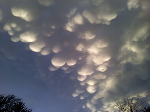 SunJ331's profile picture. 