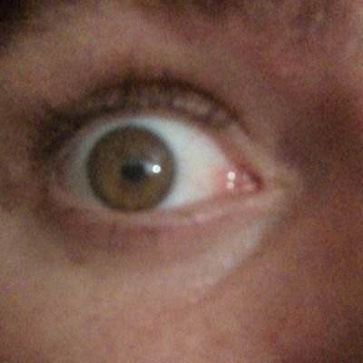 manolitox1985's profile picture. Hoy será un gran dia