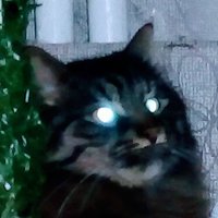 KlixX (@_klixx_) 's Twitter Profile