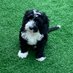 n.parkerwatts (@nparkerwatts) Twitter profile photo n.parkerwatts (@nparkerwatts) Twitter profile photo