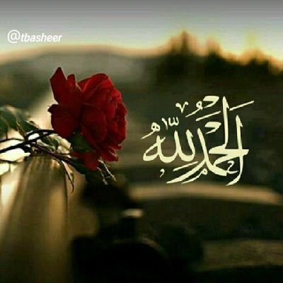 الحمد الله 
لا إله إلا الله
الله اكبر