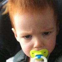 Grumpy Baby(@FiFiRobTO) 's Twitter Profile Photo