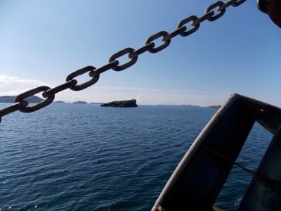 harvesterwestC's profile picture. An account of a coastal family 👪 , owning an inshore trawler business. Loving harvesting the west coast and fighting for our future 🔮 🦐🐟