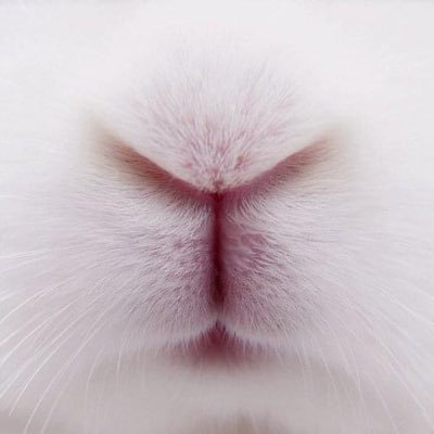 ilGioria's profile picture. Collezionista di freak