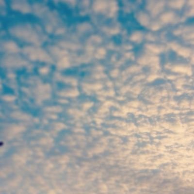 الوطنية لا تكفي وحدها.. ينبغي ألا نضمر حقداً أو مرارة تجاه أياً كان.
احترم الكل ماعدا الذيول او اي شخص ذيل 😁