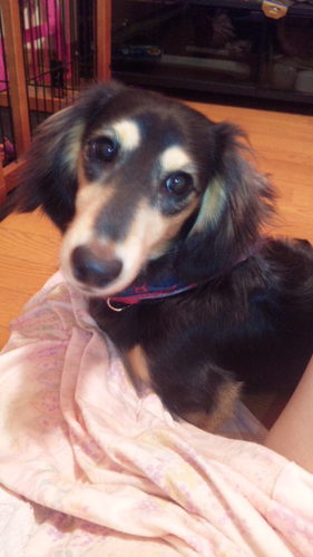 mataruwatuda's profile picture. 