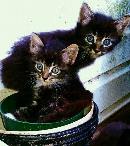 ranjen617's profile picture. Just a typical person care giving for my father while he battles PCancer.I promote anything music, love recipes & love God!!😊Follow4Follow SKYWARN SPOTTER-HAM