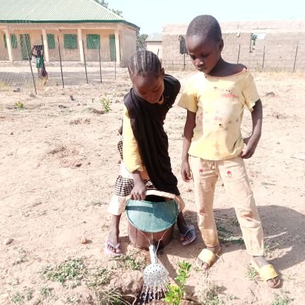 Barmedeally's profile picture. Biodiversity Conservation | Safari | Freelance