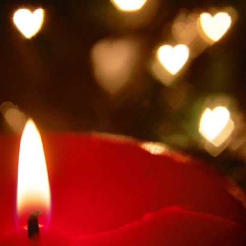 cheesecakemoca's profile picture. 