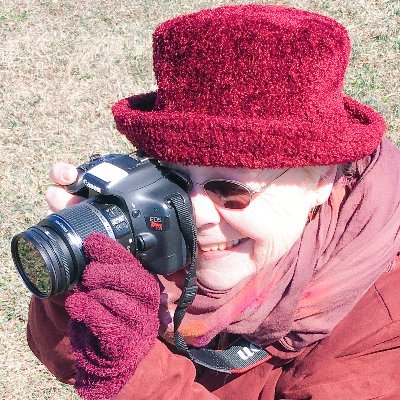 Award-winning author of microbial mysteries on zoonoses (diseases from animals), @uvmvermont; formerly @CDCgov @HealthNYGov @UAlbany Sch of Public Health