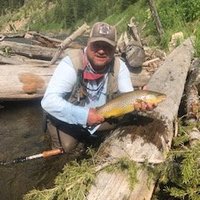 Scott Cary (@scottcary11) 's Twitter Profile