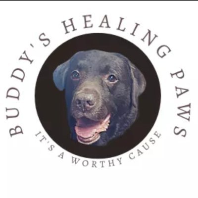 A nonprofit. Buddy's Healing Paws is striving to help pet owners afford medical procedures for their pets, regardless of cost.