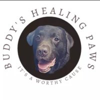 Buddy's Healing Paws(@BuddyHealing) 's Twitter Profile Photo