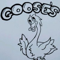 Goose's props, customs and 3d prints(@Gooses3d) 's Twitter Profile Photo