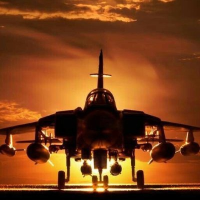 luisdlls's profile picture. 