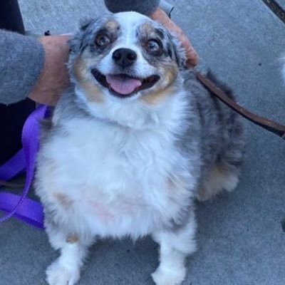 teqvilawine's profile picture. the infamous SK00TCH