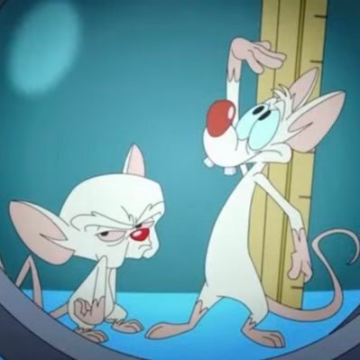 Pinky and the Brain (@Pinkyandbrainy) / X