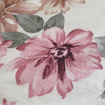 stellaX59490608's profile picture. 血统上是潮州人，出生地在北京，大部分亲戚在印尼。在英国读过书。