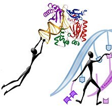 Senior Investigator at NICHD | Our lab studies DNA Replication, Repair, and Mutagenesis in Eukaryotic and Prokaryotic Cells | All views/posts my own