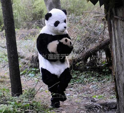 harafumi7's profile picture. 島国でこっそりと暮らしています．脱メタボを誓っています.最近痩せた？っていう言葉に思わずニヤリとする自分に自己嫌悪.