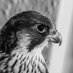 ᴵ ᵃᵐ Gʜᴀɴᴇᴍ (@gh_b_a) Twitter profile photo ᴵ ᵃᵐ Gʜᴀɴᴇᴍ (@gh_b_a) Twitter profile photo