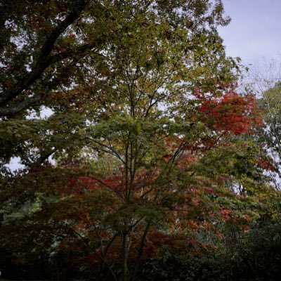 Andrea888779081's profile picture. she/her