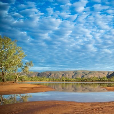 tomfahey8's profile picture. 