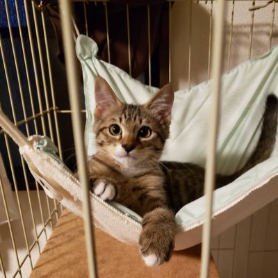 papillonavenir2's profile picture. 皆さんの美と健康を願って❗️