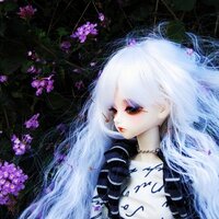 ka (@soleilonalice) 's Twitter Profile