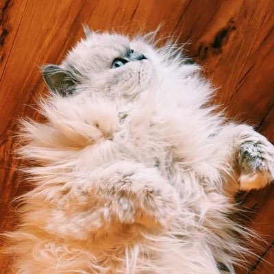 kubotter_123's profile picture. Postdoc at UC Riverside. カリフォルニアの田舎でコンピューター使ってRNA生物学する人。スプライシングに夢中。English: @naoto_kubota