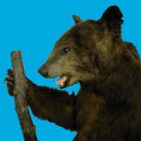 Southwark Heritage (@swkheritage) Twitter profile photo