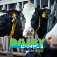 Dairy Campus(@DairyCampus) 's Twitter Profile Photo