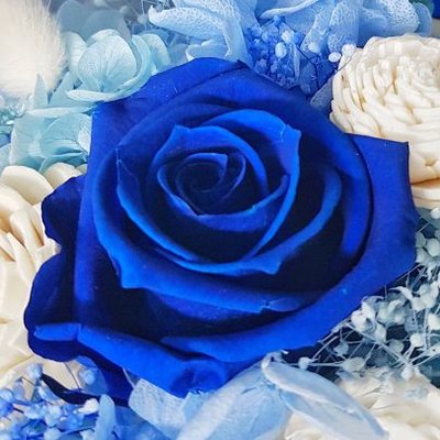 마비노기 파란 장미 꽃다발