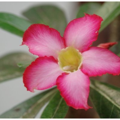 RealNRuta's profile picture. Idle