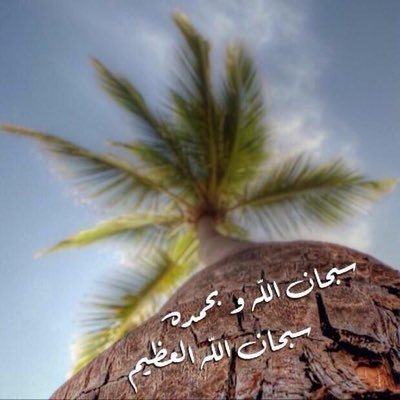 h020m's profile picture. يدٌ مُدّت إلى الله ، لن تعودَ خائبةً أبداً❤️