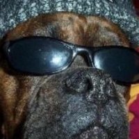 John Dough (@johndoughbull) 's Twitter Profile Photo John Dough (@johndoughbull) 's Twitter Profile Photo