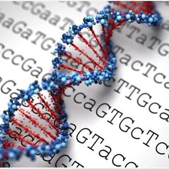 Immunogenetics: Open access Journal  is the prestigious peer reviewed journal. It mainly focuses on the genetic research areas.