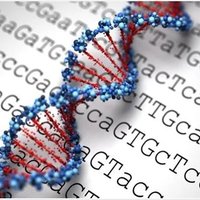 immunogenetics (@immuno_genetic) 's Twitter Profile