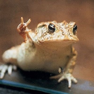 Orientalld Uehala V Hmelnick On Twitter Kak Navernoe Obraduyutsya Vse Moi Novye Gannigremnye Follovery Chto Teper U Nih V Lente Budet Mnogo Zv Mmmmm Najs Obikin Vaderwan Https T Co Ao5pjpbue3 Twitter