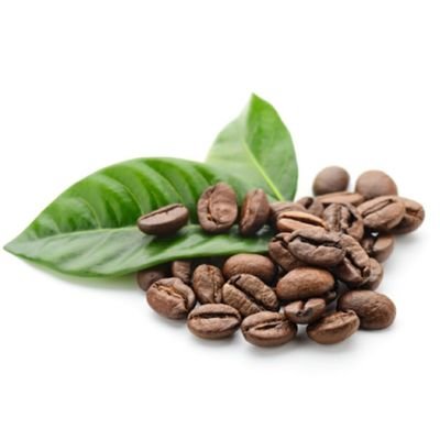 bestebohne1's profile picture. 