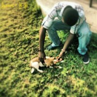 Kweku Ananse 🕷️ (@_kwekuananse) 's Twitter Profile