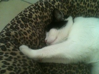 KelB138's profile picture. 