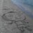 riesama412's profile image