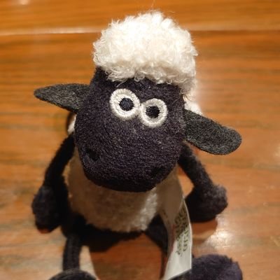 kyupi55's profile picture. 足の幅AAAの極薄足24.5cmです。 趣味は散歩。糖尿病療養指導士。緊急避妊ピルコンシェルジュ薬剤師養成講習修了。 無断フォローお許しください。