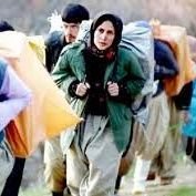 Roya_ir's profile picture. برانداز، آنتی عرزشی