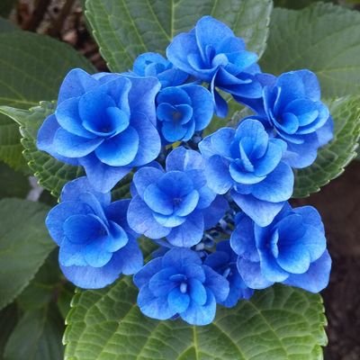 高岩 沙由さんのプロフィール画像