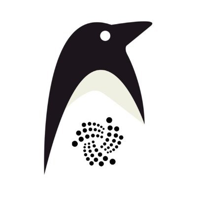 iota_penguin Profile Picture